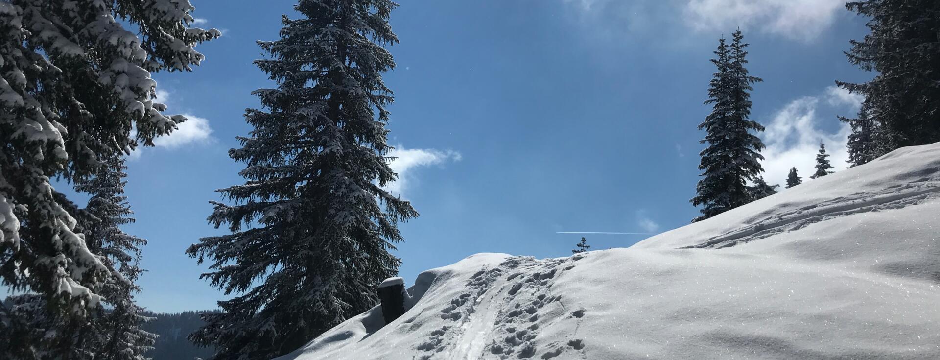 ski touring route Leogang